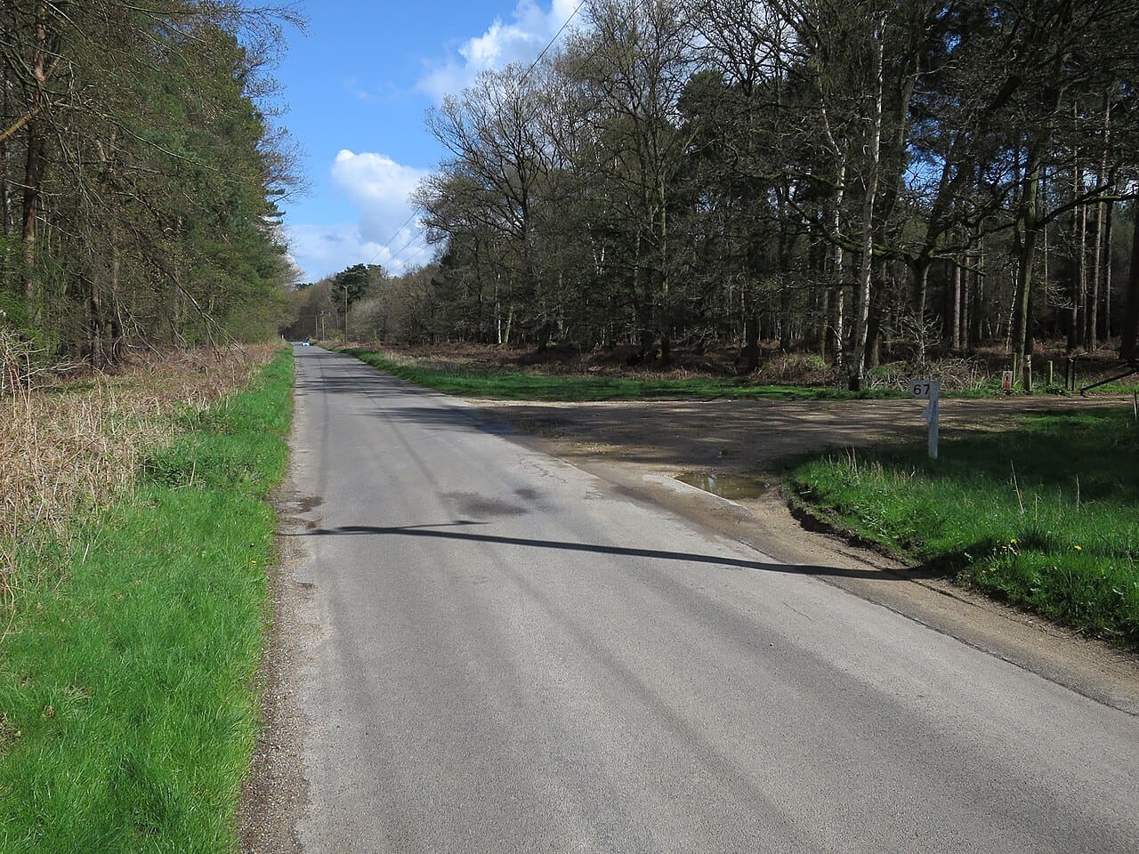 Open Breckland heath at Croxton Heath in Norfolk, with grass, a sandy track and pine trees