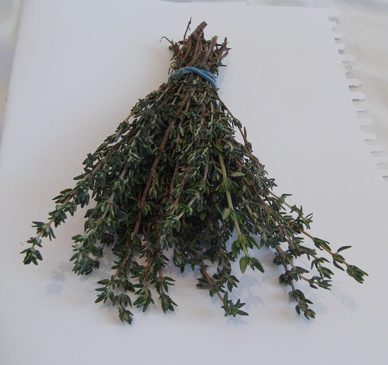 Fresh thyme sprigs