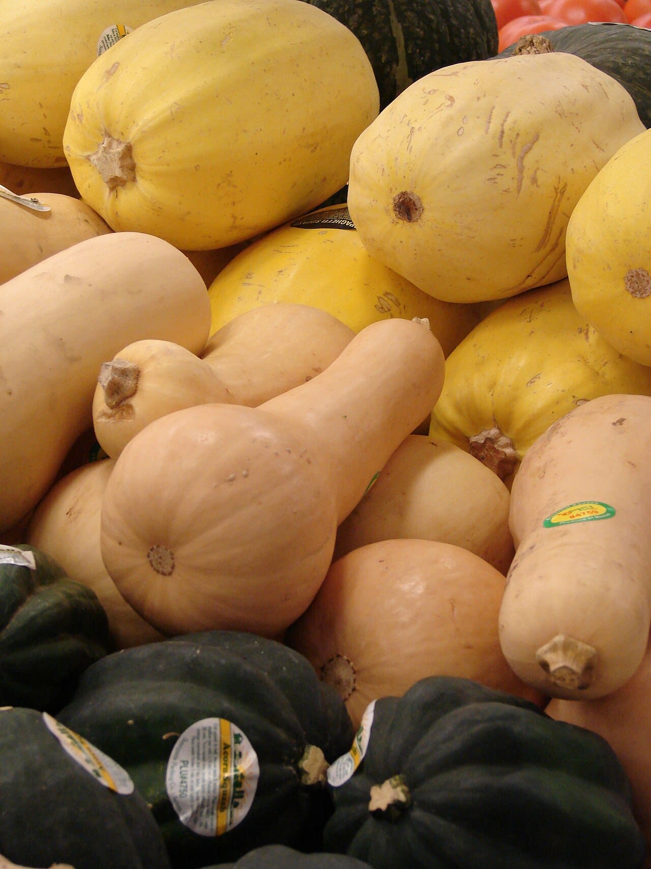 A pile of spaghetti, butternut and acorn squash